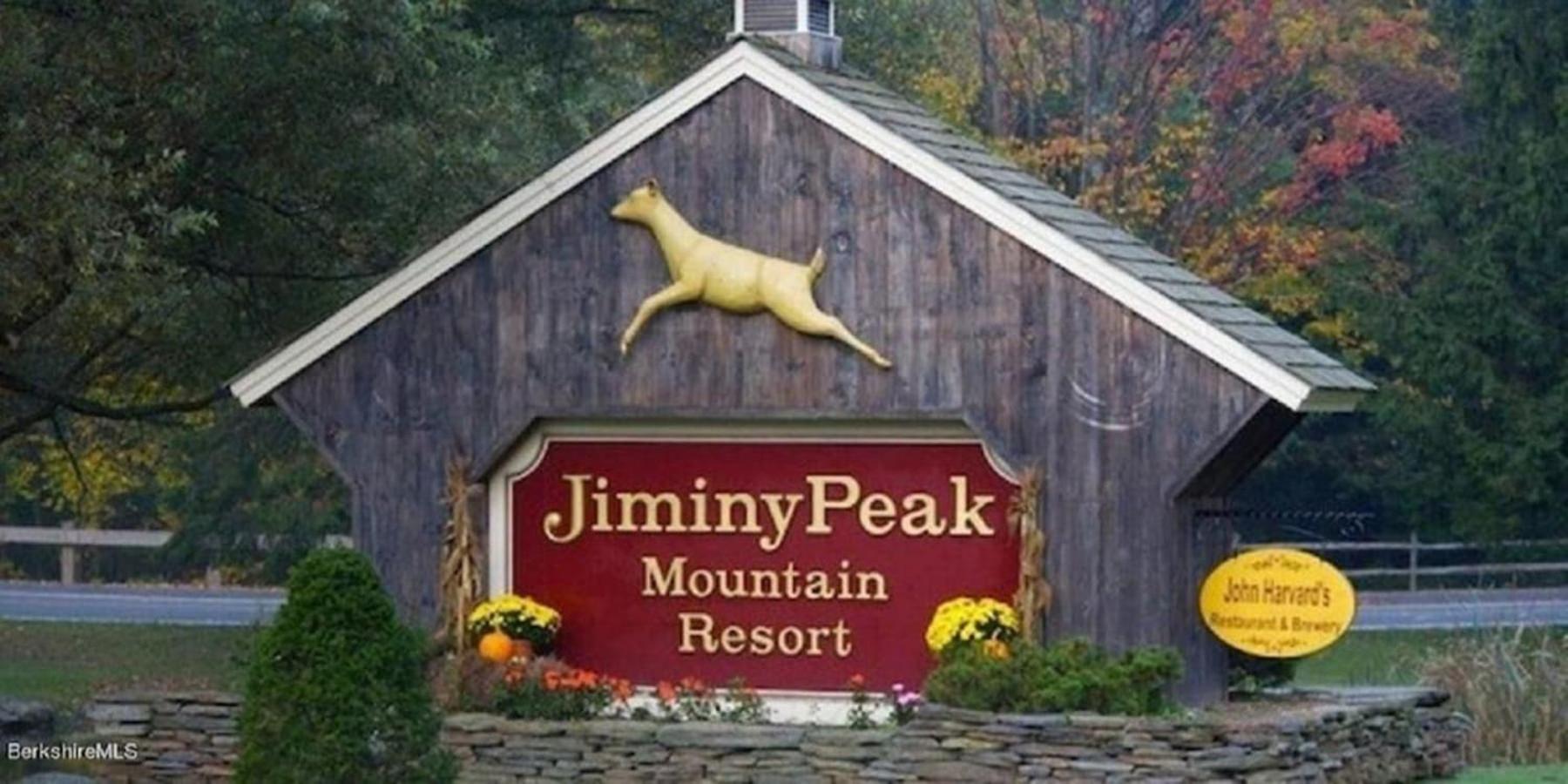 Gorgeous 1St Fl Mtn View Jiminy Suite Sleeps 4 Ski On Off Hancock Εξωτερικό φωτογραφία